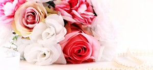 Helliwell Flowers - Wholesale, Flowers, Plant & Sundries